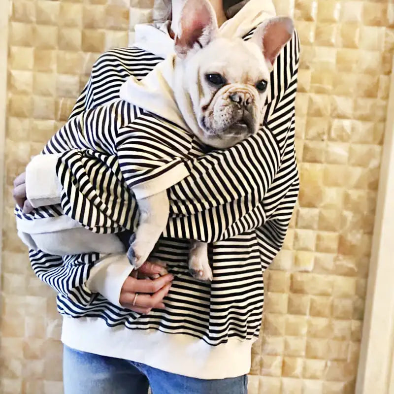 Teddy Small Dog Terry Sweater Fashion Brand Clothes