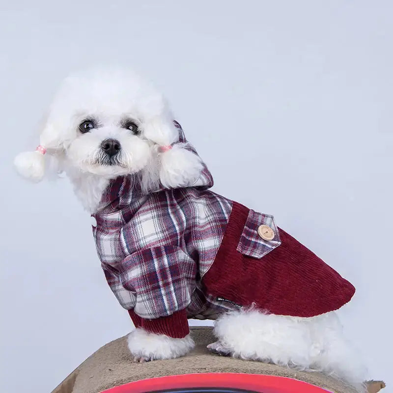 Quality Small Dog Cashmere Coat Pets R Us