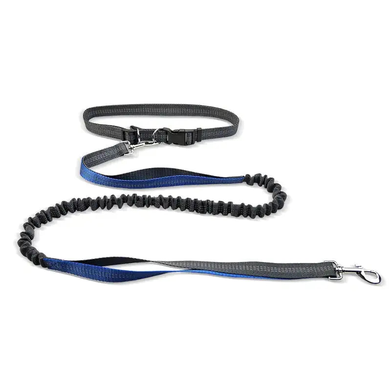 Dog Walking Belt with Detachable Shockproof Leash The Dog and Cat Shop