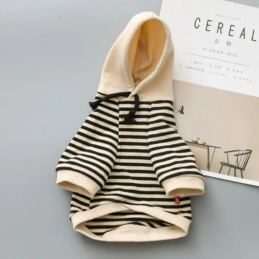 Teddy Small Dog Terry Sweater Fashion Brand Clothes