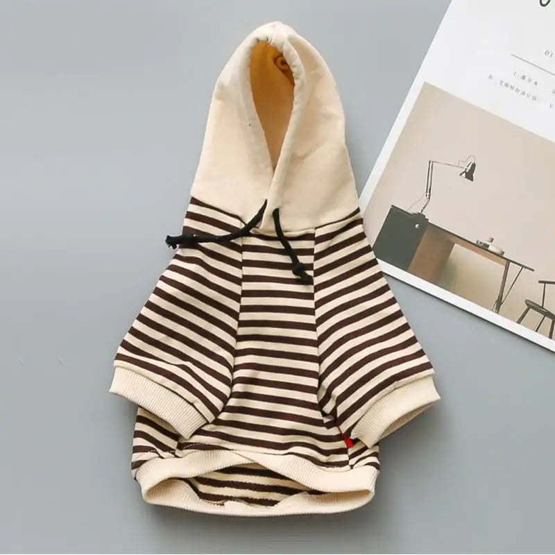 Teddy Small Dog Terry Sweater Fashion Brand Clothes