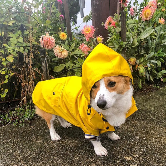 Retro Padded Waterproof Dog Jacket by Tide Brand