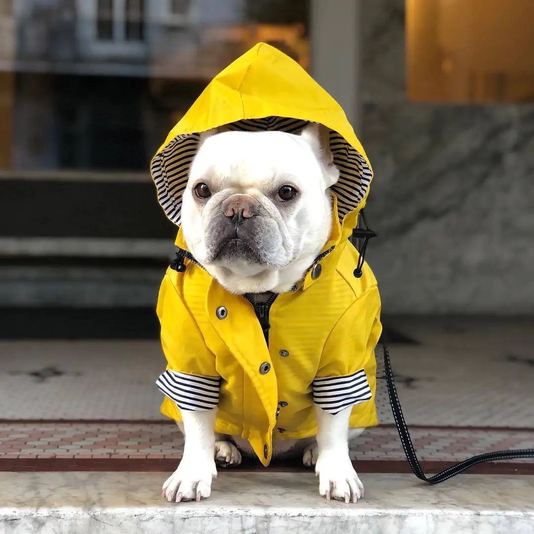 Retro Padded Waterproof Dog Jacket by Tide Brand