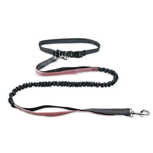 Dog Walking Belt with Detachable Shockproof Leash The Dog and Cat Shop